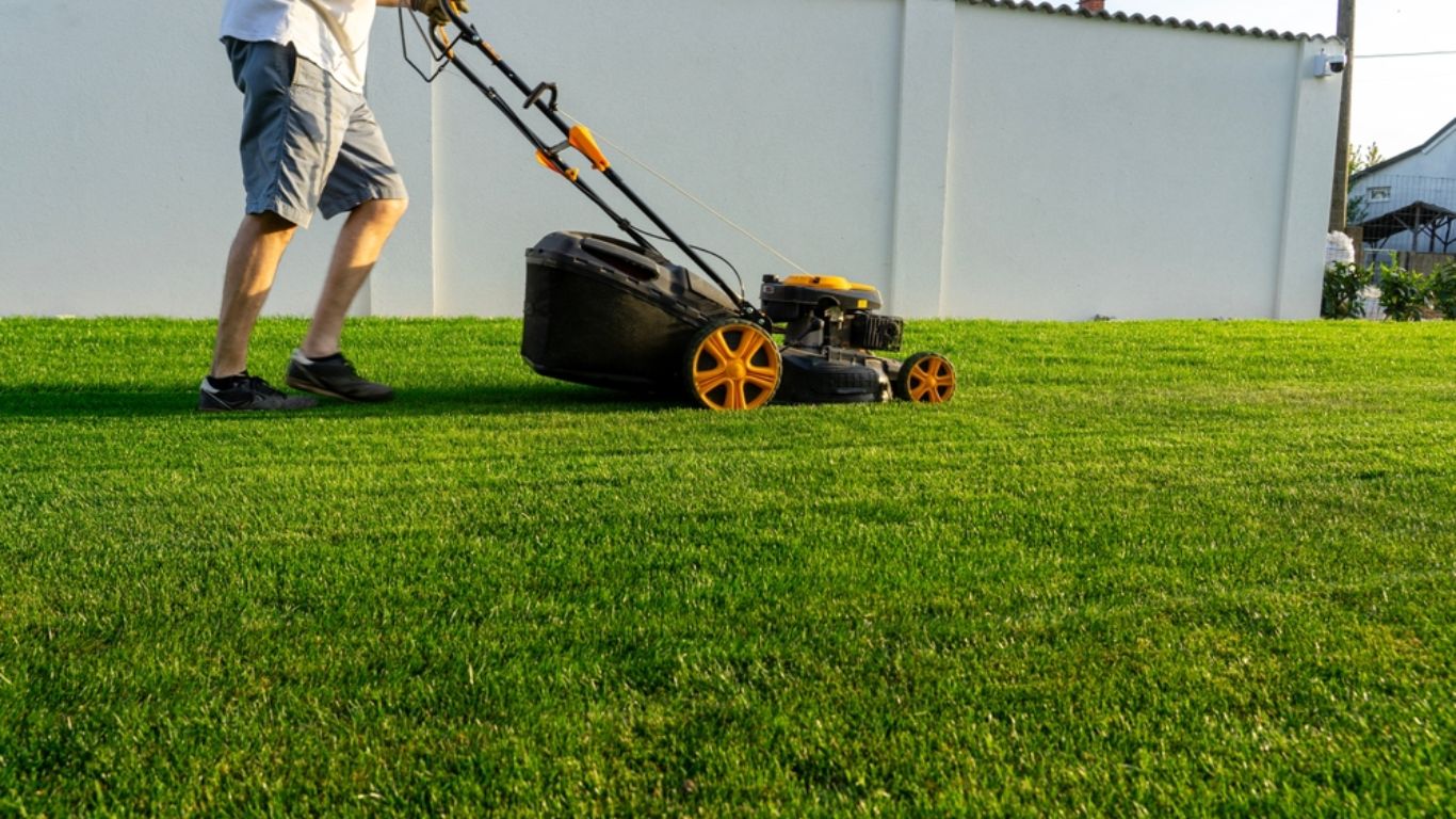 Budgeting for a Push Mower