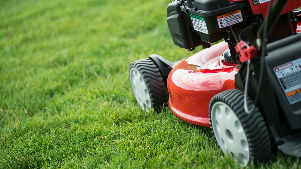 Close-up of a lawn mower cutting grass
