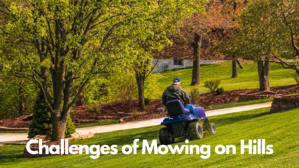 The Challenges of Mowing on Hills What You Need to Know