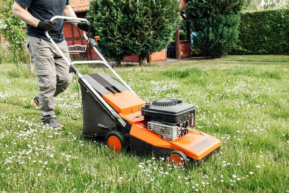 Person mowing a grassy lawn with an orange lawn mower on a sunny day