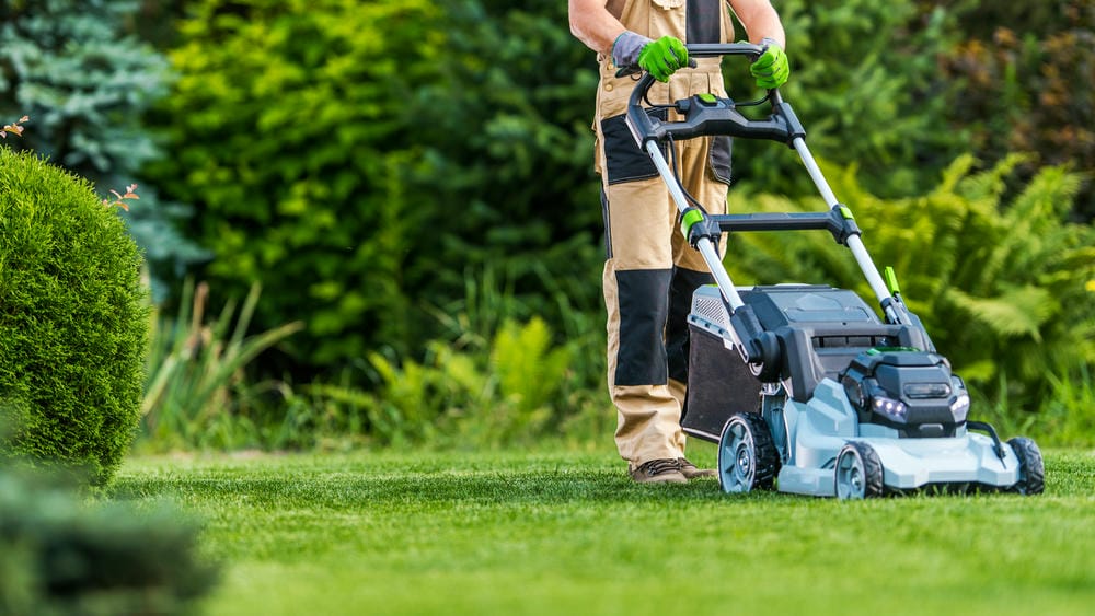 Person mowing grass with a push lawn mower in a well-maintained garden.