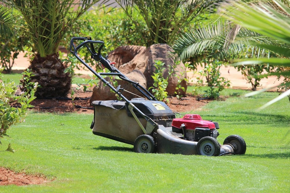 Push lawn mower parked on green grass near a garden.