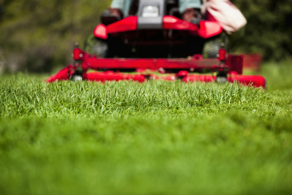 Evaluate lawn size and terrain to choose the right mower for your property