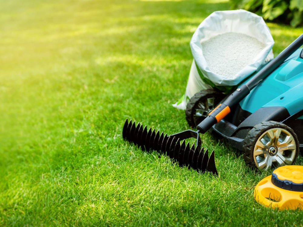Learn how to change a blade on a push mower for a perfect lawn with tool