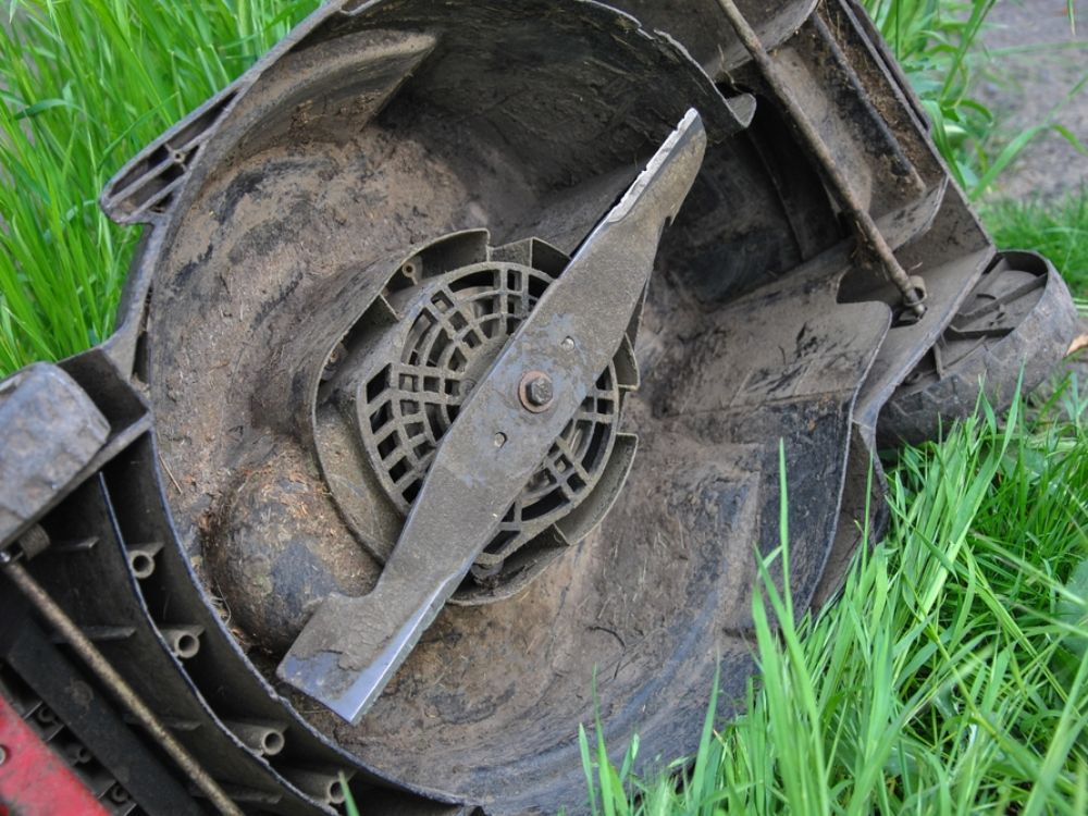 Lawn care tools including a lawnmower, rake, and fertilizer bag on green grass.